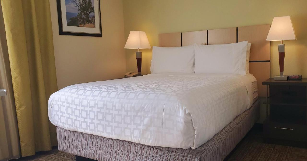 Candlewood Suites Houston Medical Center By Ihg Eksteriør bilde